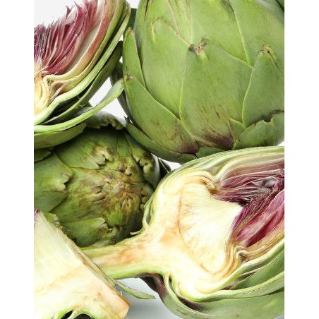 ARTICHOKE SHAMPOO