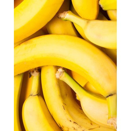BANANA SHAMPOO